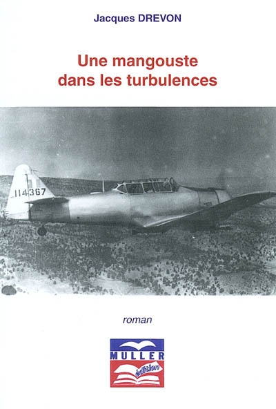 Une mangouste dans les turbulences