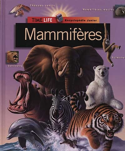 Mammifères