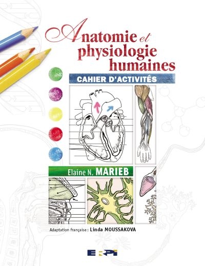 Anatomie et physiologie humaines : cahier d'activités