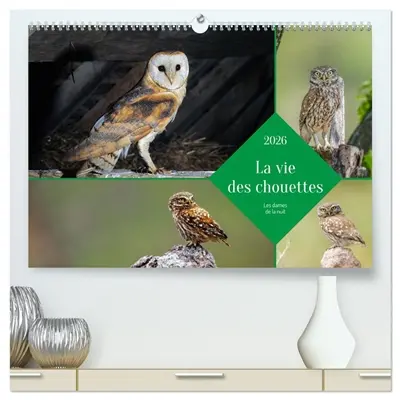 La vie des chouettes, les dames de la nuit (Calendrier mural 2026 DIN A2 vertical) calendrier de bureau : Partez à la découverte des chouettes en images