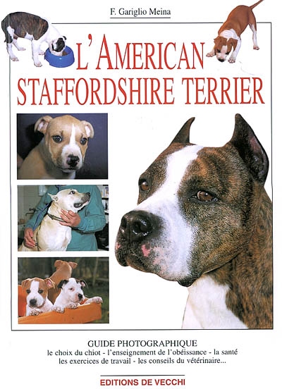 L'American Staffordshire Terrier