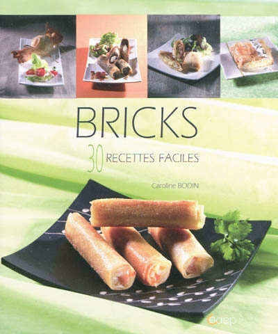 Bricks : 30 recettes faciles