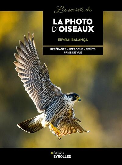 Les secrets de la photo d'oiseaux : repérages, approche, affûts, prise de vue