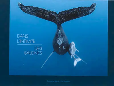 Dans l'intimité des baleines