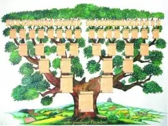 Arbre généa' 6
