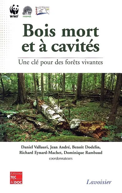 Bois mort et à cavités : une clé pour des forêts vivantes