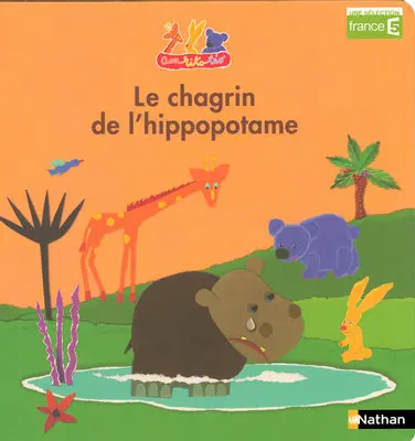 Ava, Riko, Téo. Vol. 2. Le chagrin de l'hippopotame