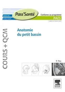Anatomie du petit bassin