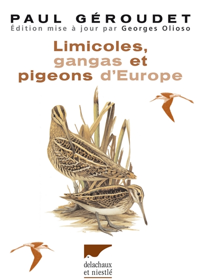 Limicoles, gangas et pigeons d'Europe