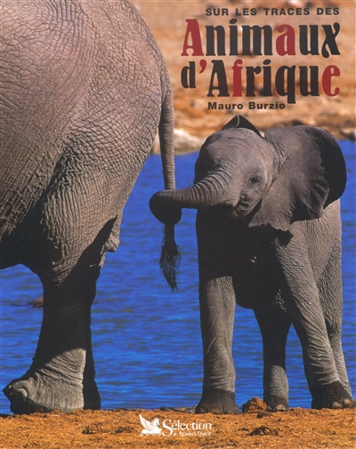 Sur les traces des animaux d'Afrique