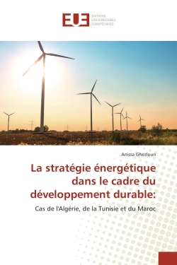 La stratégie énergétique...