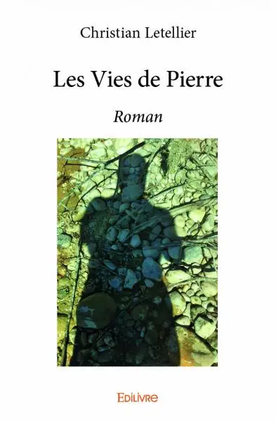 Les vies de pierre : Roman