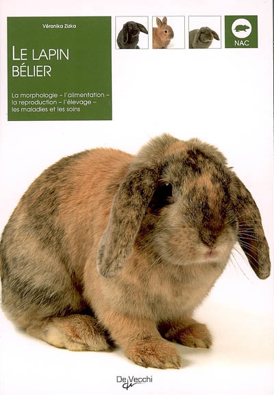 Le lapin bélier : la morphologie, l'alimentation, la reproduction, l'élevage, les maladies et les soins