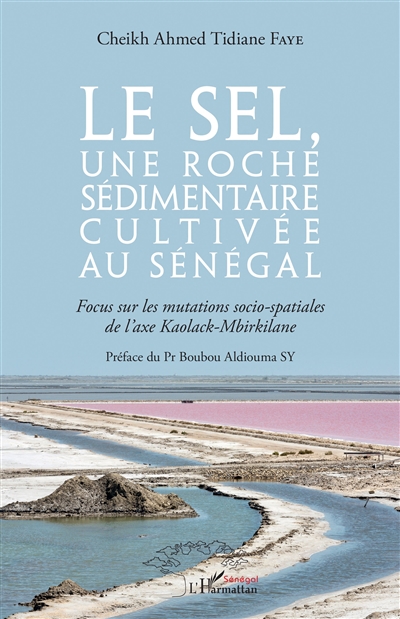 Le sel, une roche...