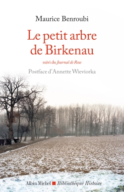 Le petit arbre de Birkenau....