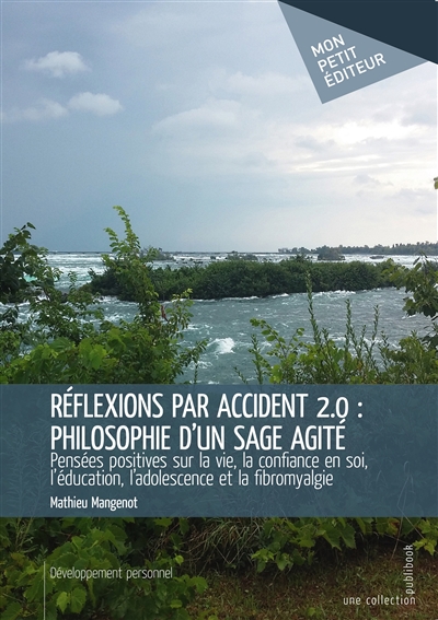 Réflexions par accident 2.0 : philosophie d'un sage agité : Pensées positives sur la vie, la confiance en soi, l'éducation, l'adolescence et la fibromyalgie