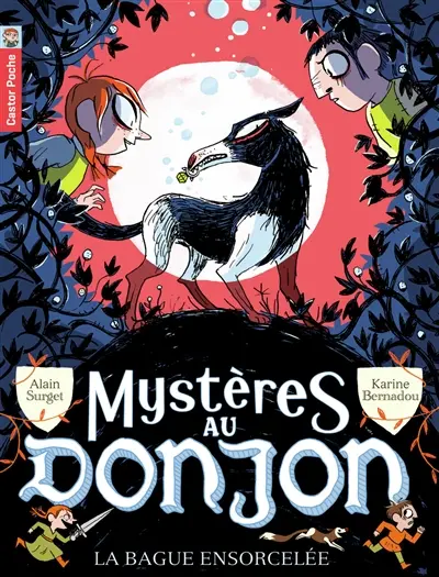 Mystères au donjon. Vol. 6. La bague ensorcelée