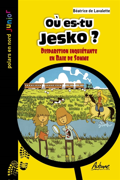 Où es-tu Jesko ? : disparition inquiétante en baie de Somme