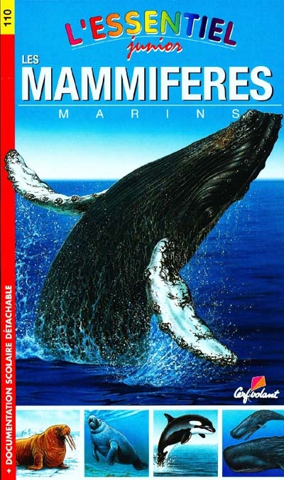 l'essentiel junior les mammifères marins