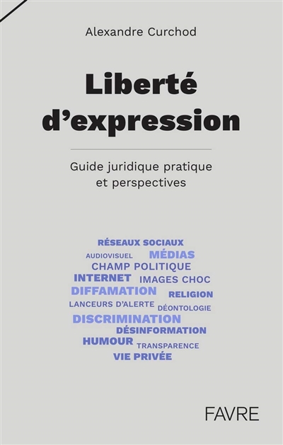 Liberté d'expression : guide juridique pratique et perspectives