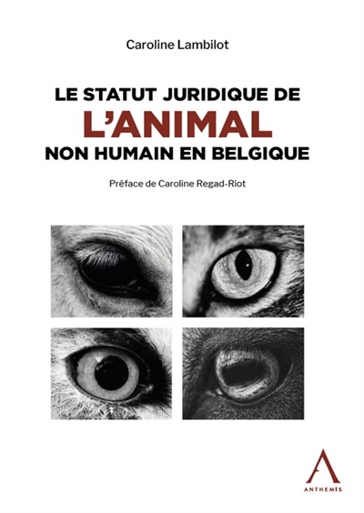 Le statut juridique de l'animal non humain en Belgique : de la protection du bien-être d'hier à la constitutionnalisation de la sensibilité d'aujourd'hui : cheminement belge vers l'espoir d'une personnification juridique demain