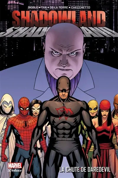 Shadowland. Vol. 1. La chute de Daredevil