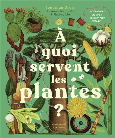 A quoi servent les plantes ?