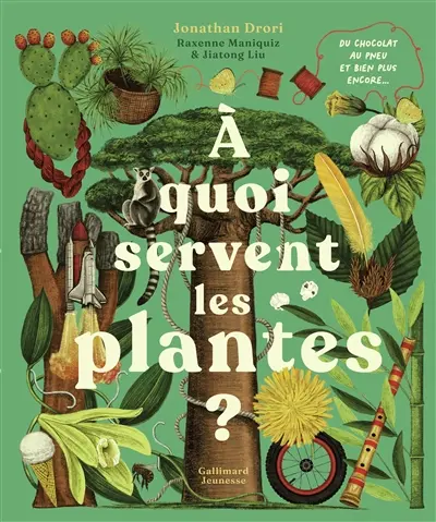 A quoi servent les plantes ?
