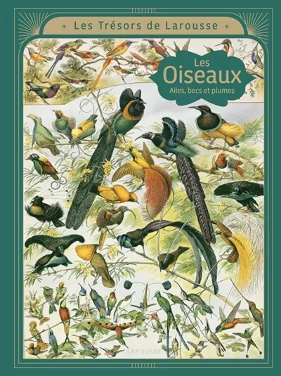 Les oiseaux : ailes, becs et plumes