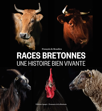Races bretonnes, une histoire bien vivante