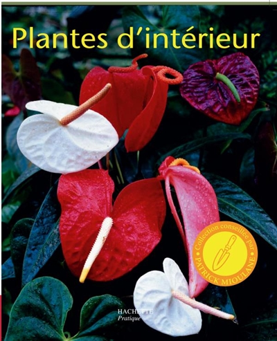Plantes d'intérieur