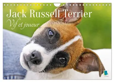Jack Russell Terrier : vif et joueur (Calendrier mural 2026 DIN A4 vertical), CALVENDO calendrier mensuel : Jack Russell Terrier : le compagnon idéal pour le sport et les activités physiques