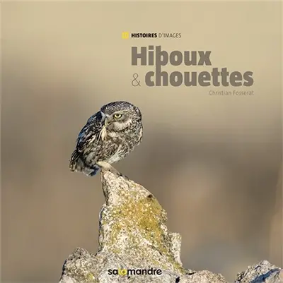 Hiboux et chouettes