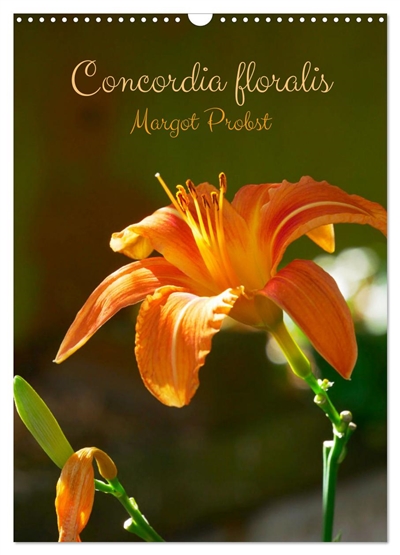Concordia floralis...