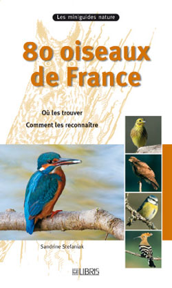 80 oiseaux de France : où les trouver, comment les reconnaître
