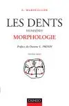 Les Dents humaines : morphologie