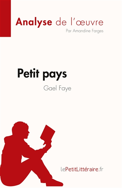 Petit pays de Gael Faye (Analyse de l'œuvre) : Résumé complet et analyse détaillée de l'oeuvre