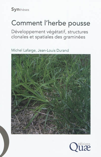 Comment l'herbe pousse : développement végétatif, structures clonales et spatiales des graminées