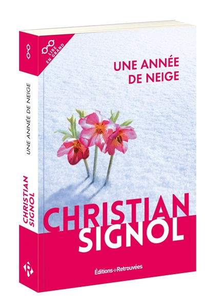 Une année de neige