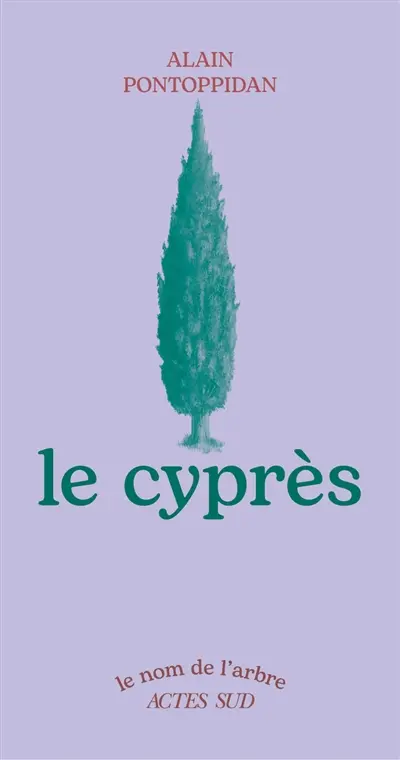 Le cyprès