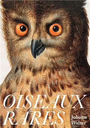 Johann Walter Oiseaux Rares