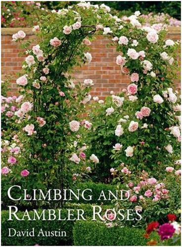 Climbing and Rambler Roses