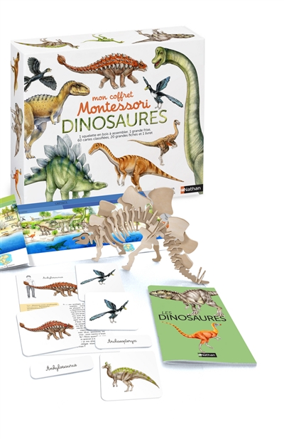 Mon coffret Montessori dinosaures