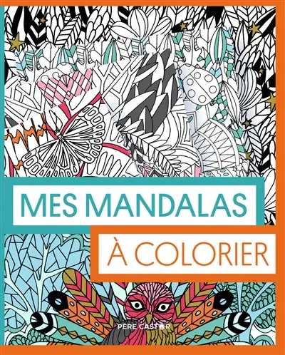 Mes mandalas à colorier