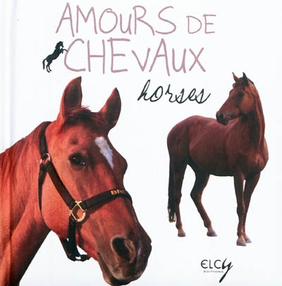 Amours de chevaux