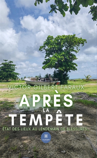 Après la tempête : Etat des...