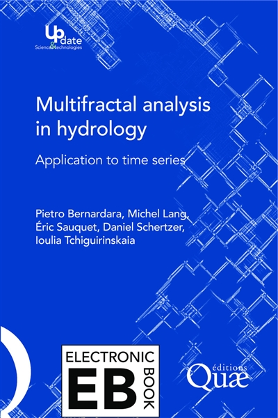 Multifractal analysis in hydrology : application to time series