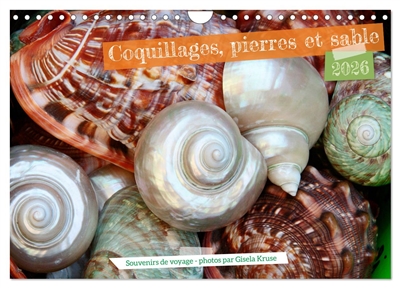 Coquillages, pierres et sable (Calendrier mural 2026 DIN A4 vertical), CALVENDO calendrier mensuel : Souvenirs maritimes qui donnent envie de la mer