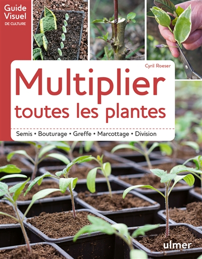 Multiplier toutes les plantes : semis, bouturage, greffe, marcottage, division