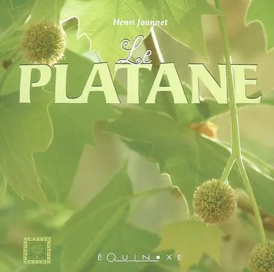 Le platane
